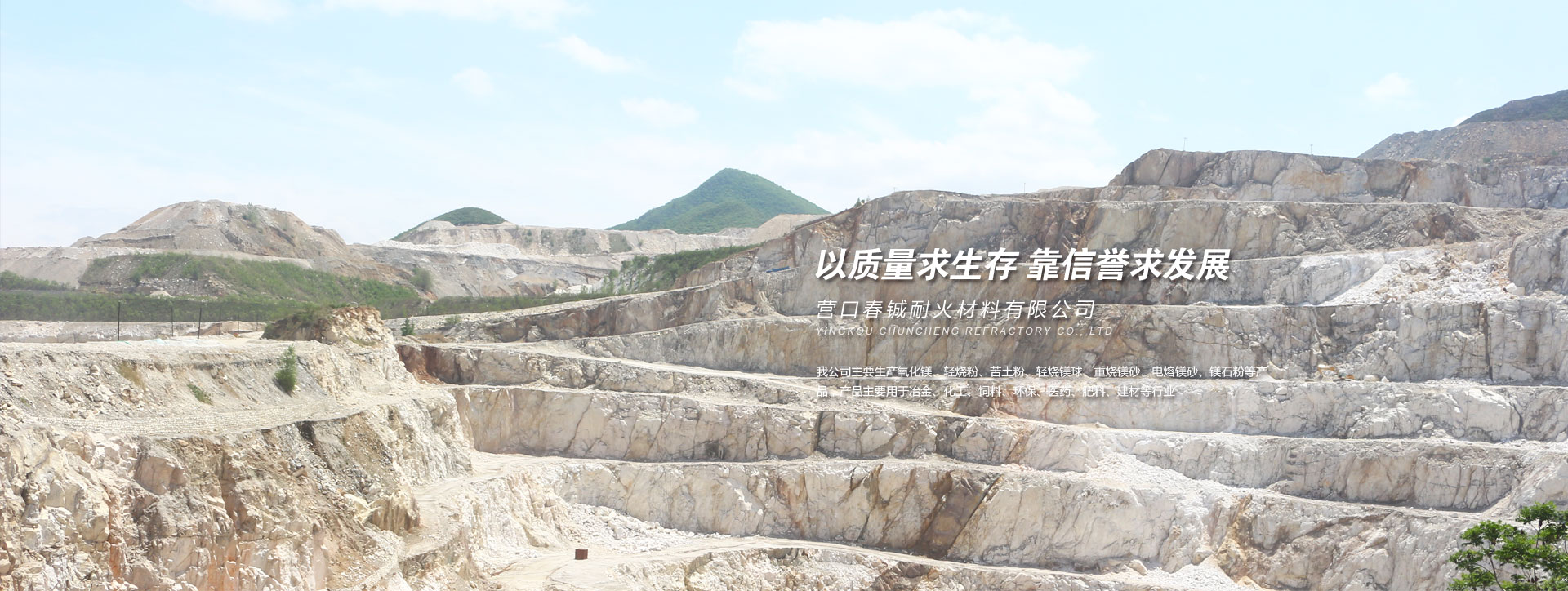 轻烧氧化镁